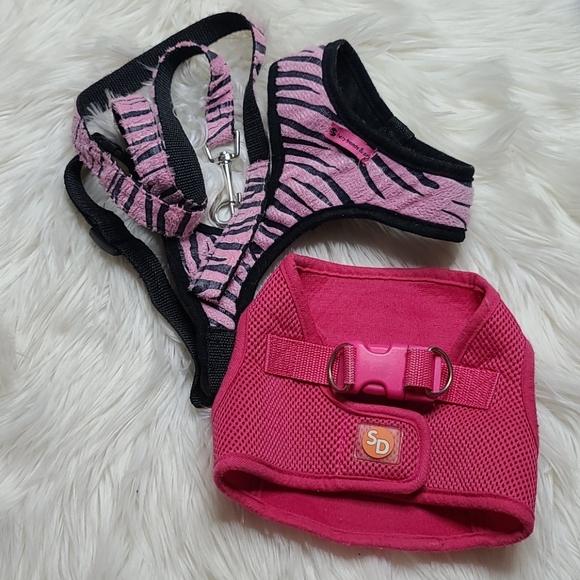 Bundle of happiness and leash - Picture 1 of 3